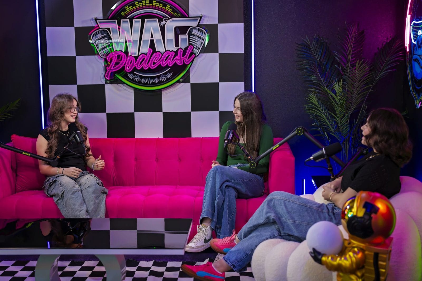 The WAG Podcast studio